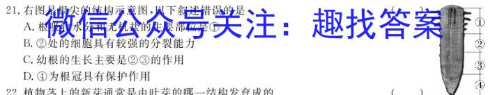 新时代NT教育 2023-2024学年度高二年级第一学期期末考试生物学试题答案