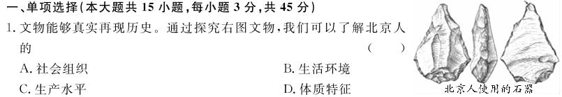 2024普通高等学校招生全国统一考试·名师原创调研仿真模拟卷(六)6历史