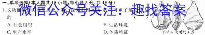 河南2024年高考备考精准检测联赛(3月)历史试卷答案