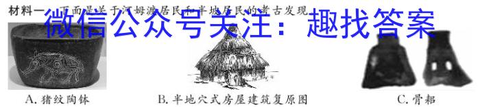 安徽省2024年九年级一模学情调研试卷历史试卷答案