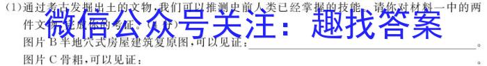 四川省泸州市四校联盟2024年高二下学期第一次联合考试历史试题答案