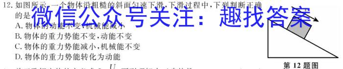 重庆一中高2024-2025学年高三上期开学考物理试卷答案