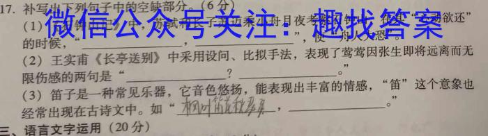 湖北省2024年春季黄冈市高中联校高二年级期中教学质量抽测语文