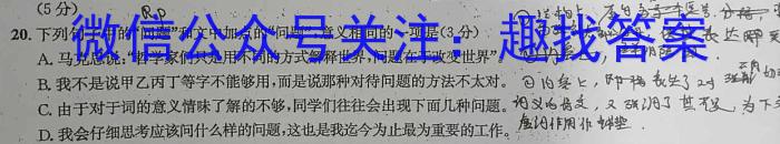 陕西省临渭区2024年高三质量检测试题语文