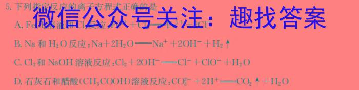 2024届名校之约·中考导向总复习模拟样卷 二轮(五)5化学