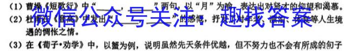 河北2024年石家庄市初中毕业水平质量检测(二)2语文