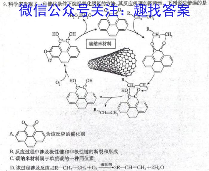 炎德英才 名校联考联合体2024年秋季高二第一次联考(暨入学检测)化学