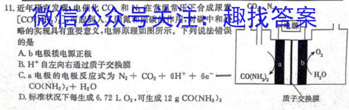 q山东省聊城市2023-2024学年度第一学期期末教学质量抽测考试（高一）化学