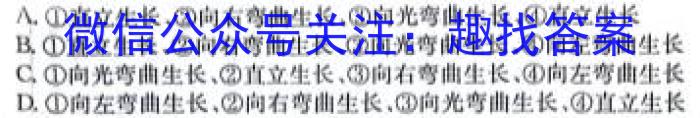 晋文源·2024年山西省中考模拟百校联考试卷（三）数学