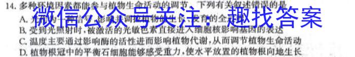 2024年河南省中招考试模拟冲刺卷(三)3数学