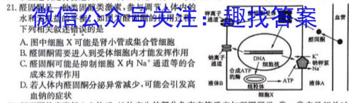 衡水金卷先享题月考卷 2023-2024学年度下学期高三二调考试生物学试题答案