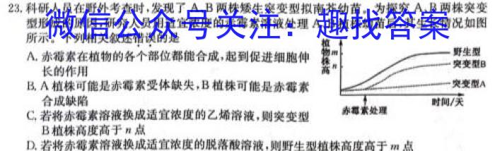 江西省2024年学考水平练习(二)数学