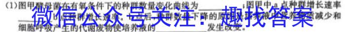 江苏省2024届新高考基地学校第五次大联考数学