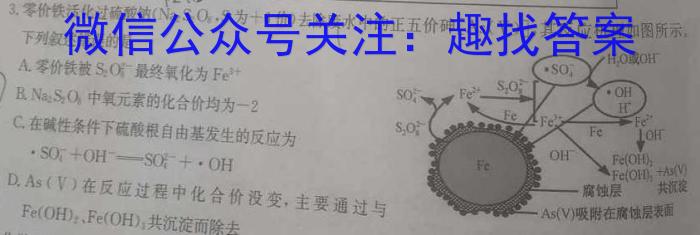 河南省漯河市2023-2024学年高三上学期期未质量监测数学