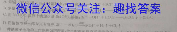 河南省中州联盟2023~2024学年上学期高一期末考试(241445D)化学
