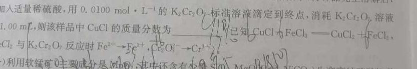 【热荐】2024年陕西省初中学业水平考试全真模拟卷（八）化学