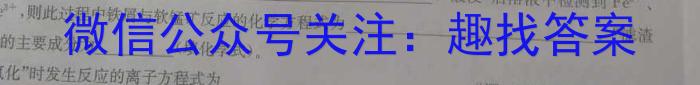 q北京市朝阳区九年级综合练习(二)化学