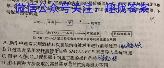 河北省2023-2024学年八年级第一学期期末教学质量检测数学