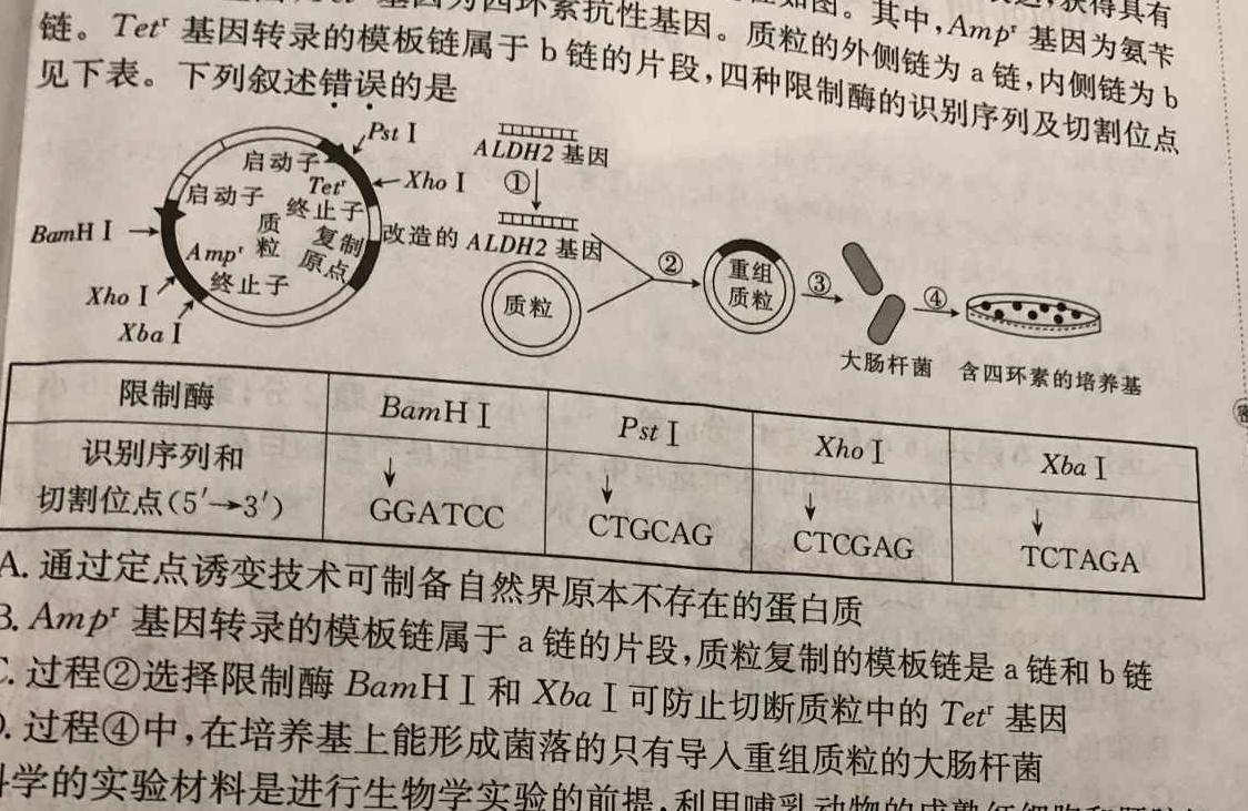 安徽省宿松县2023-2024学年度八年级第一学期期末教学质量检测生物