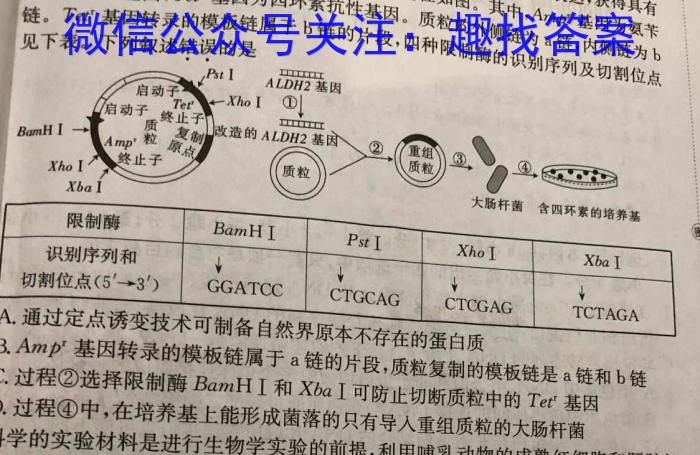 高三总复习 2024届名师原创模拟(十二)12生物学试题答案