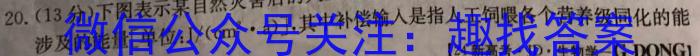 湖南省2024年春季九年级毕业会考模拟练习卷(五)数学