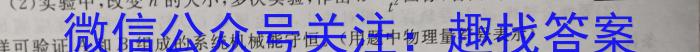 2024年河南省中招考试押题试卷(一)物理试题答案