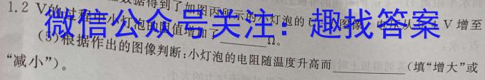 贵州省2024年秋季九年级入学摸底检测物理`