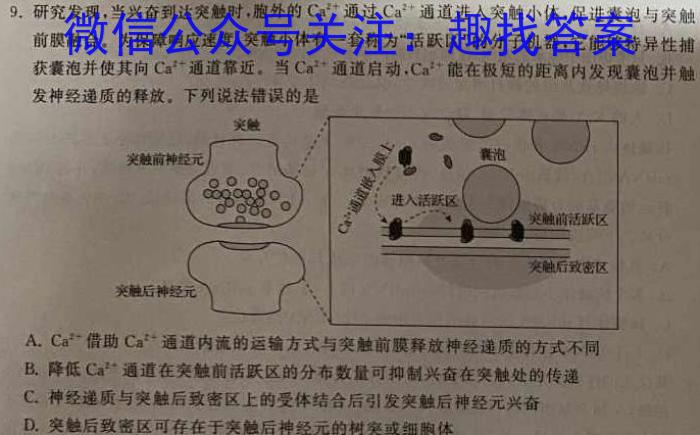 江西省乐平市2023-2024学年度下学期九年级期中学业评价数学