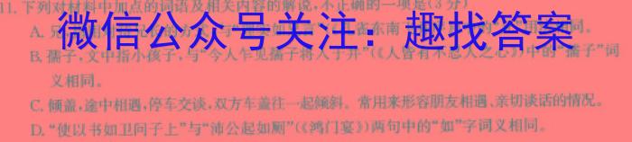 2024届智慧上进 名校学术联盟·高考模拟信息卷押题卷(十)10语文