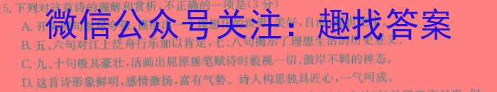 宝鸡市凤翔区2023年九年级第三次学业水平模拟检测/语文