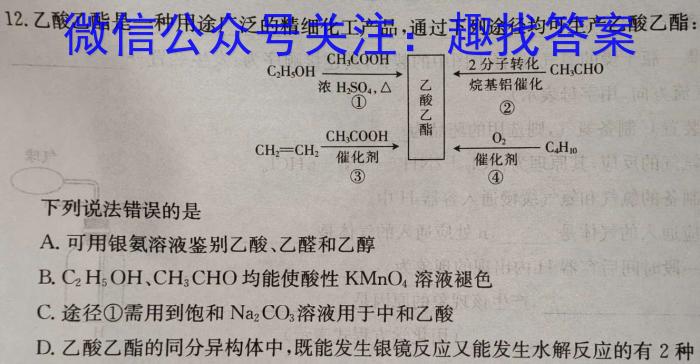 天一大联考 2024-2025学年高中毕业班阶段性测试(一)1化学