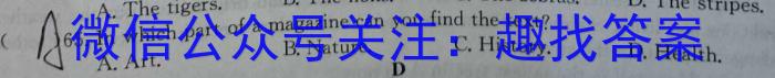 衡水名师卷 2024年高考模拟调研卷(老高考◆)(六)6英语