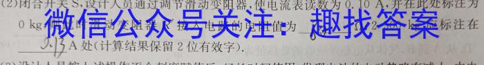 2024届普通高等学校招生全国统一考试 高三青桐鸣冲刺卷一物理