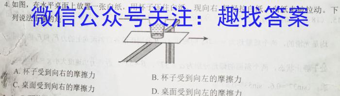 真题密卷 2024年普通高等学校招生全国统一考试模拟试题·冲顶实战演练(二)2物理`