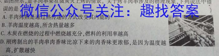 安徽省2024年普通高等学校招生全国统一考试(模拟)物理`