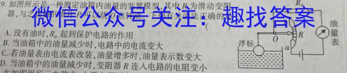 安徽省2024年1月份九年级质量检测试卷（24-CZ64c）h物理