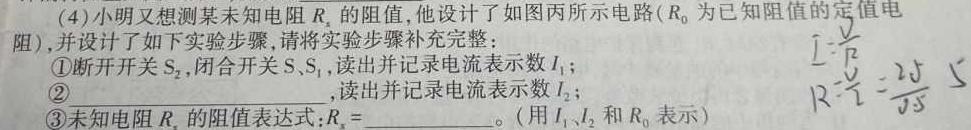 江苏省2024年苏州市小升初开学分班考模拟卷（难）(物理)试卷答案