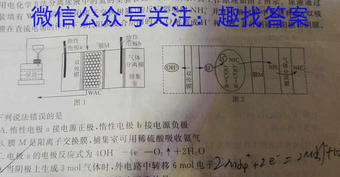 [六市二诊]四川省2024年高中2021级第二次诊断性考试化学
