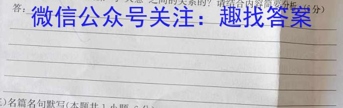 衡水名师卷 2024年高考模拟调研卷(新教材▣)(六)6语文