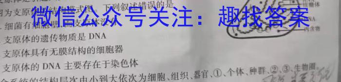 2024年山东省日照市2021级高三校际联合考试(5月)生物学试题答案