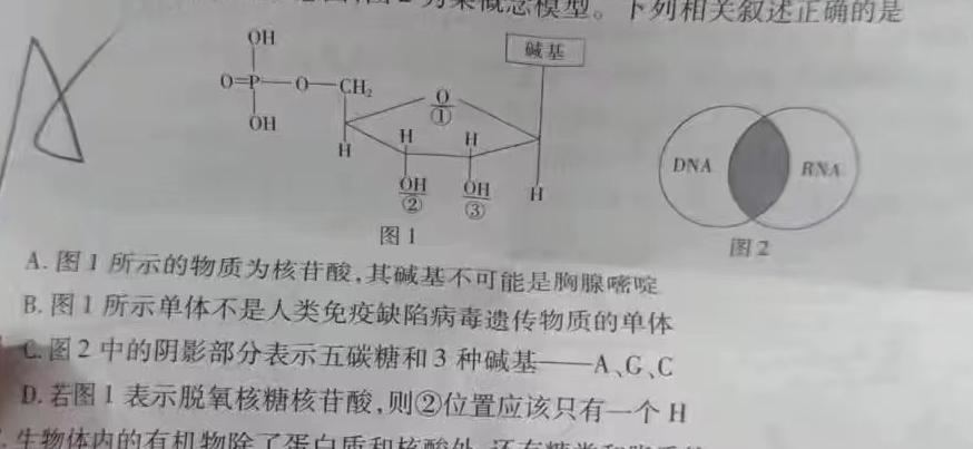 ［稳派联考］上进联考2023-2024学年高一年级第二学期第二次阶段性考试（期中考试）生物学部分