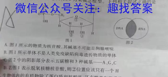 河南省2023-2024学年七年级第二学期学习评价（1）数学