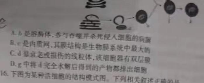 河南省新乡市2024年八年级学业水平调研抽测生物