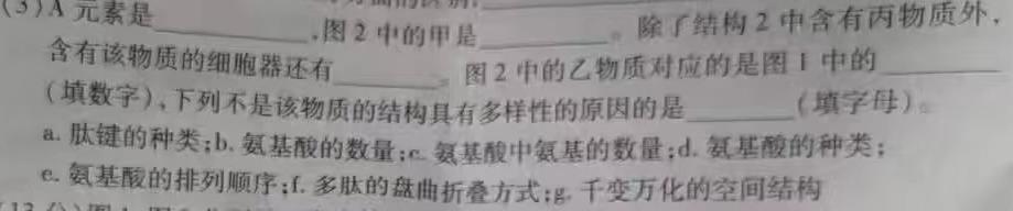 江西省2024届九年级期末综合评估4L R生物