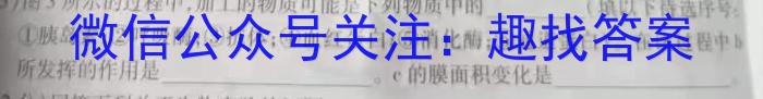 2024届浙江七彩阳光联盟高三联考生物学试题答案