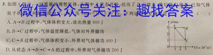 山东省烟台市2023-2024学年度高二第一学期期末学业水平诊断l物理