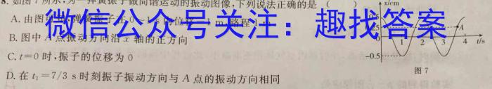 安徽中考2024年九年级监测试卷(5.24)物理`