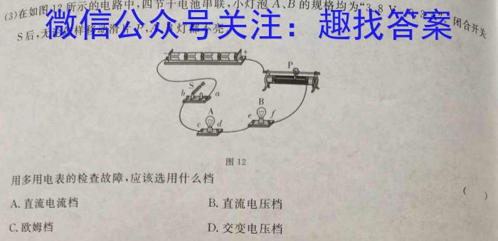 安徽省2024届九年级上学期1月期末考试（无标题）物理`