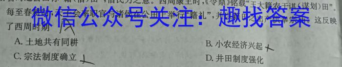 陕西省2023-2024学年九年级阶段诊断(✿)历史试卷答案