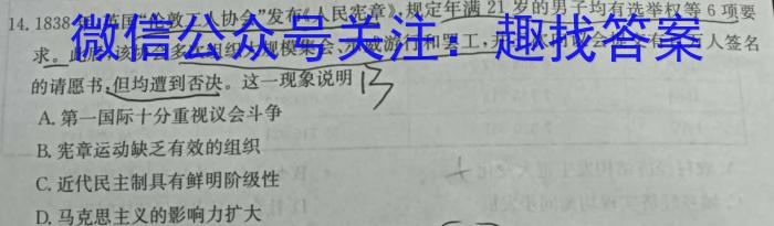 2024届江西省宜春名校联盟九年级综合检测一(24-CZ124c)历史试卷答案